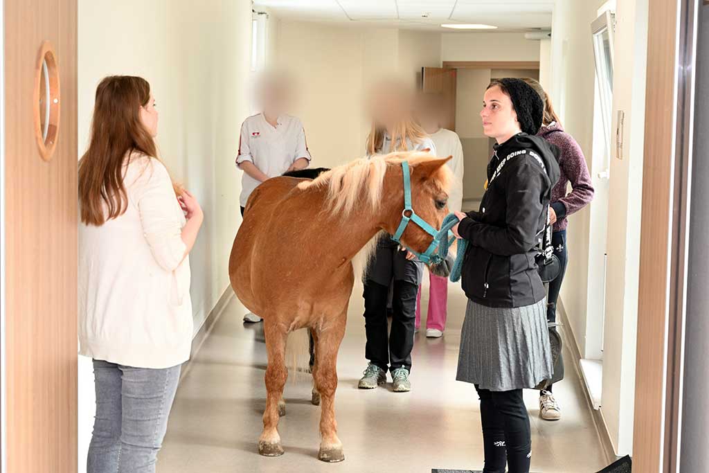 Caramel se prépare à aller à la rencontre des résidents